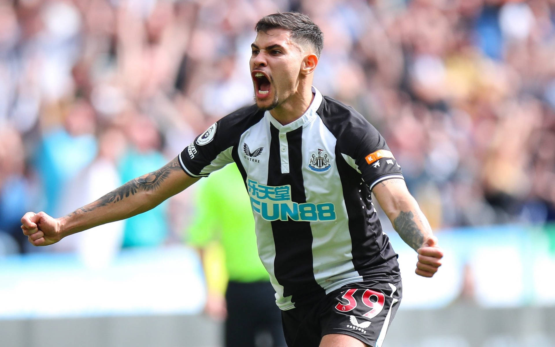 Bruno Guimar Es Happy Shouting Wallpaper