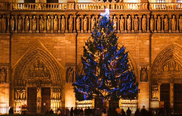 Wallpaper Christmas Tree Cathedral Notre Dame De Paris