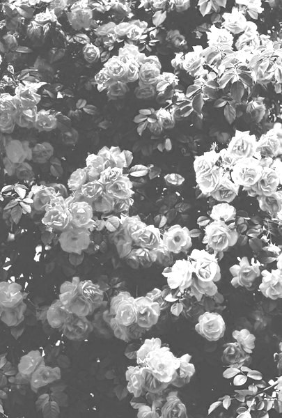 Black And White Pictures Tumblr
