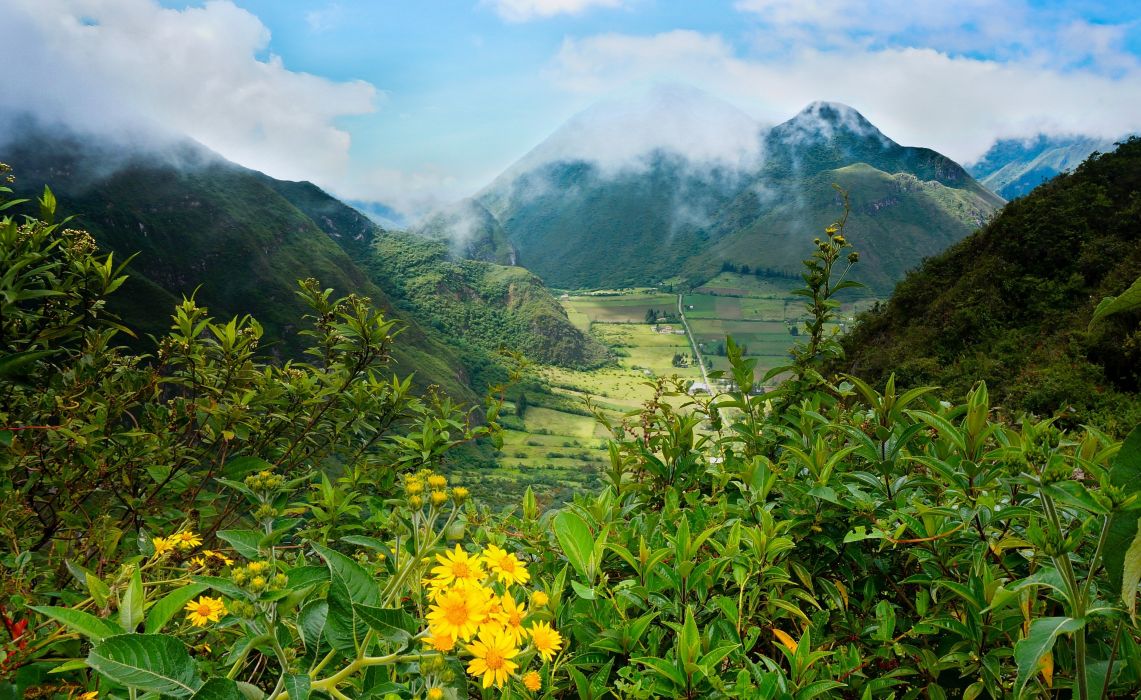 Pululahua Ecuador Landscape Mountains Flower Wallpaper
