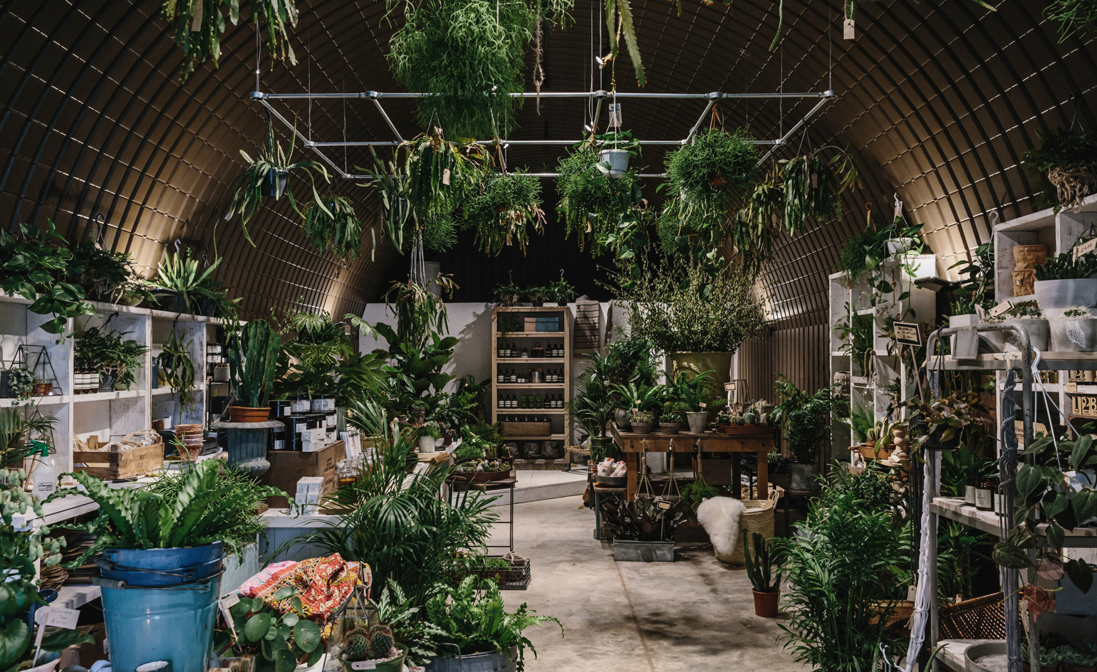 Forest London Brings Rare And Exotic Plants To The City Wallpaper