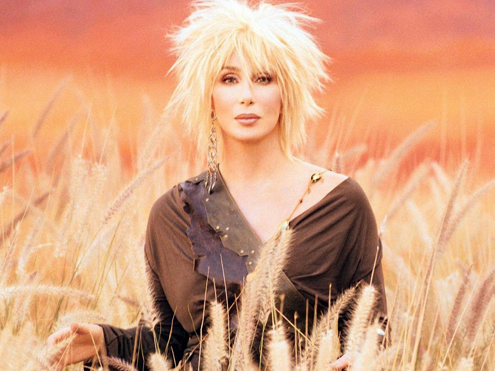 Cher Field Wallpaper Pictures
