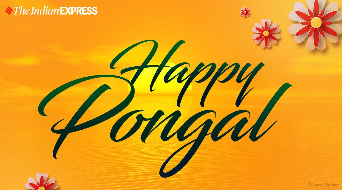 Happy Pongal Whatsapp Wishes Image Status Wallpaper