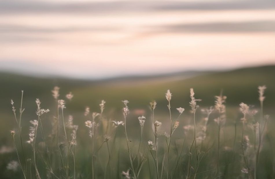Blur Background