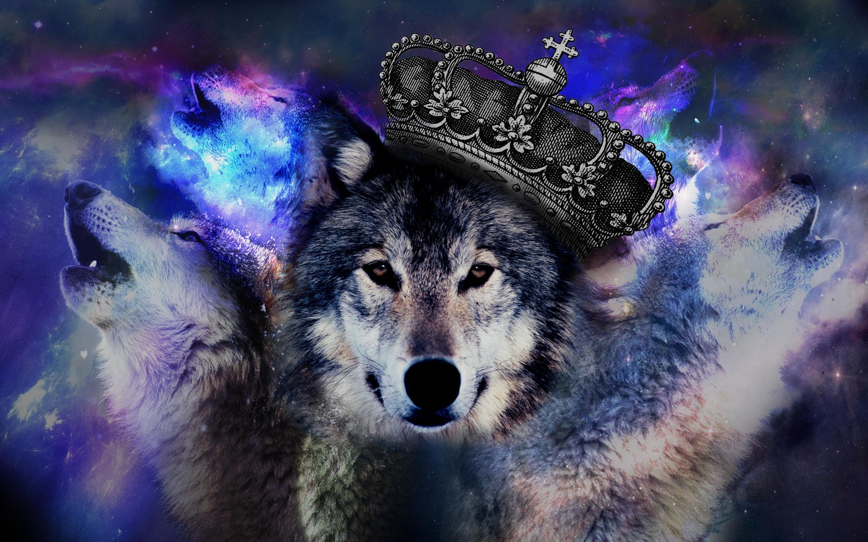 A majestic wolf wearing a crown, howling against a backdrop of a vibrant galaxy. This stunning 4k wallpaper captures the wild beauty and regal nature of the wolf