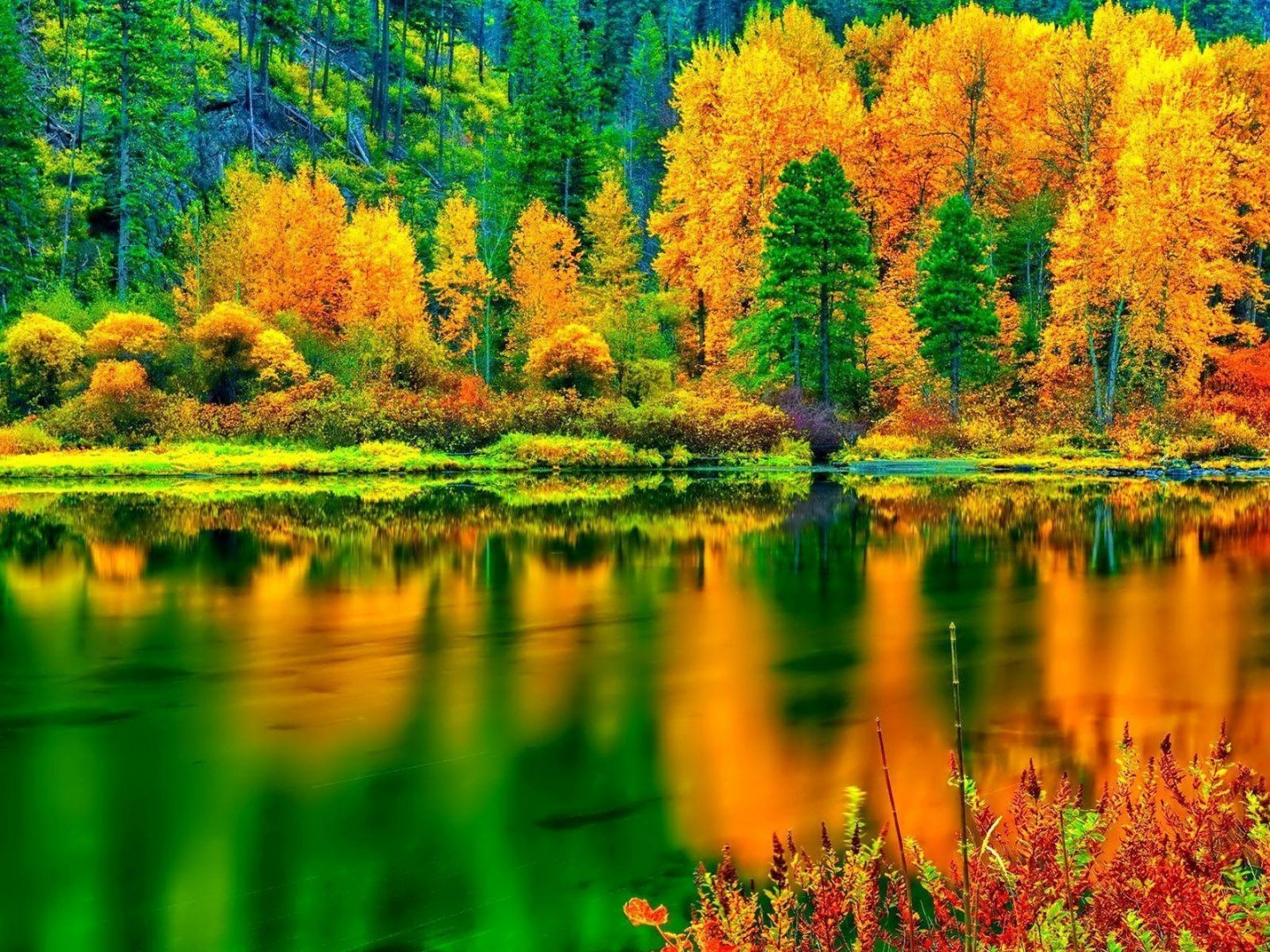 Breathtaking autumn colors HD desktop wallpaper