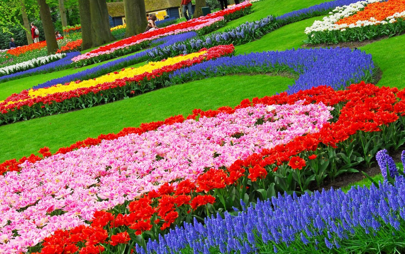 Desktop Wallpaper Flowers Garden ...