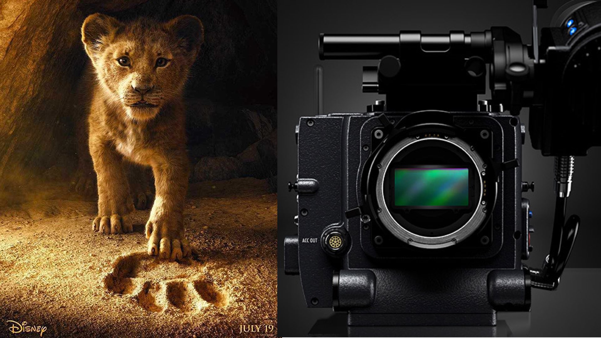ARRI ALEXA 65 The Camera Behind The Lion King 2019   YMCinema