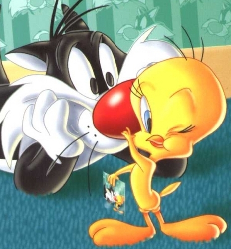 Tweety Bird Club Tagged Sylvester Looney Tunes