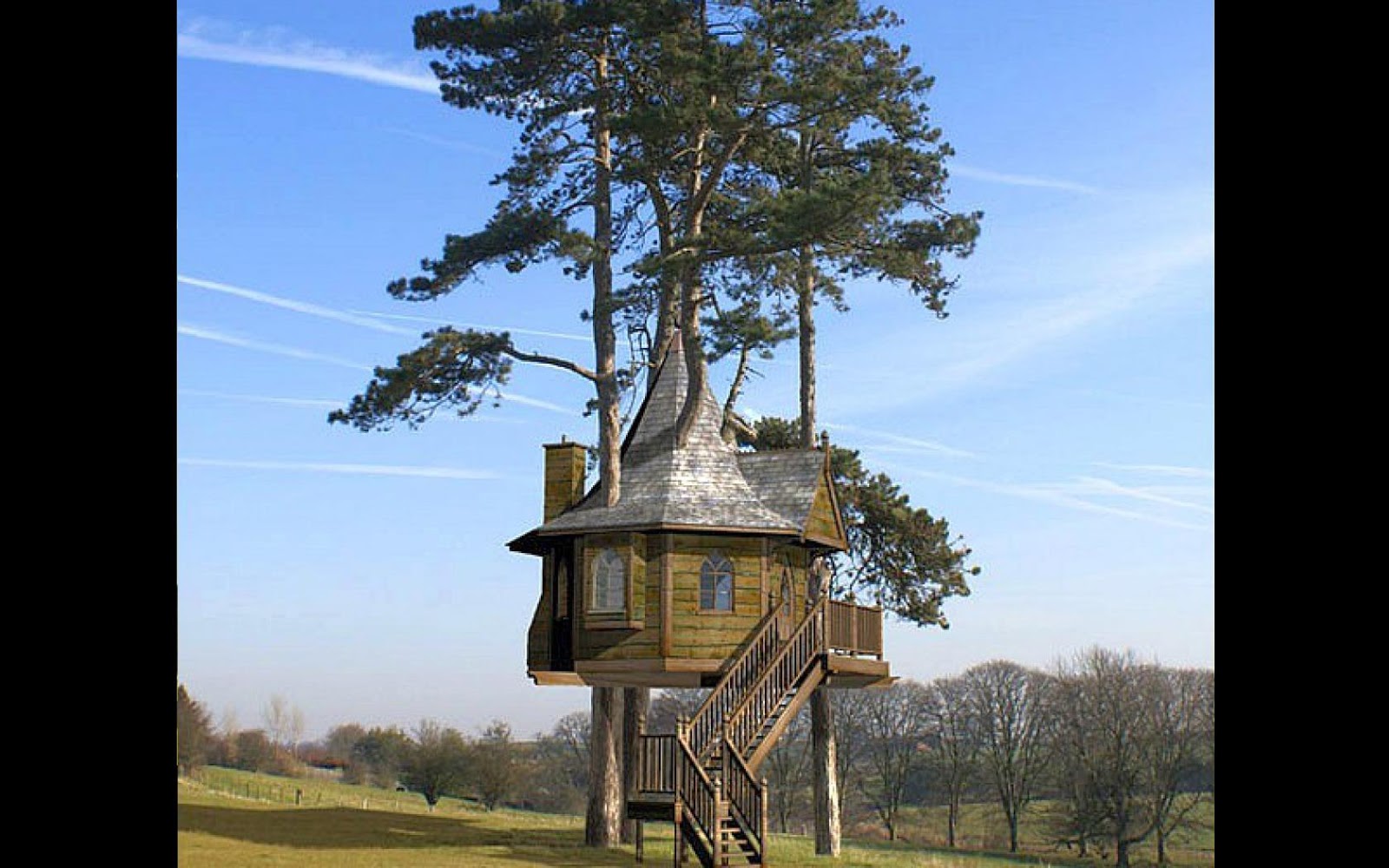 Real Tree House Wallpaper