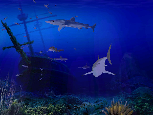 Living 3d Sharks Screensaver