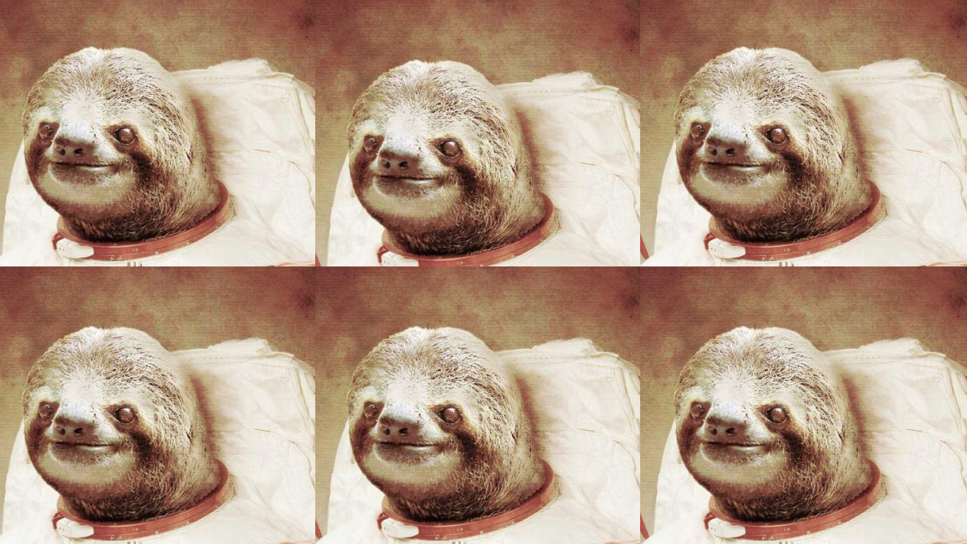 Sloth Astronaut Wallpaper Desktop