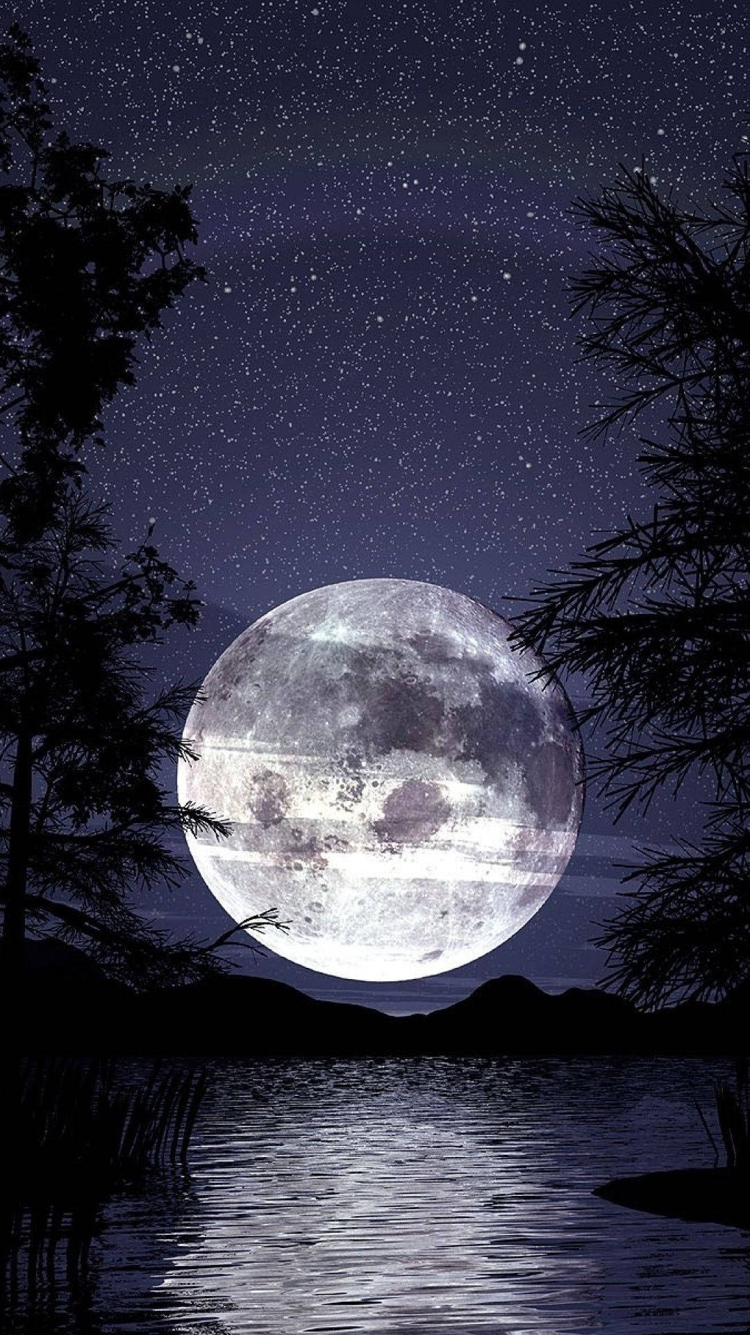 Dark Night Wallpaper