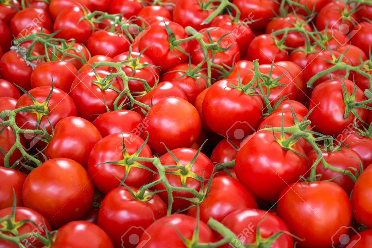 Tomato Background Raw Tomatoes Closeup Stock Photo Picture And