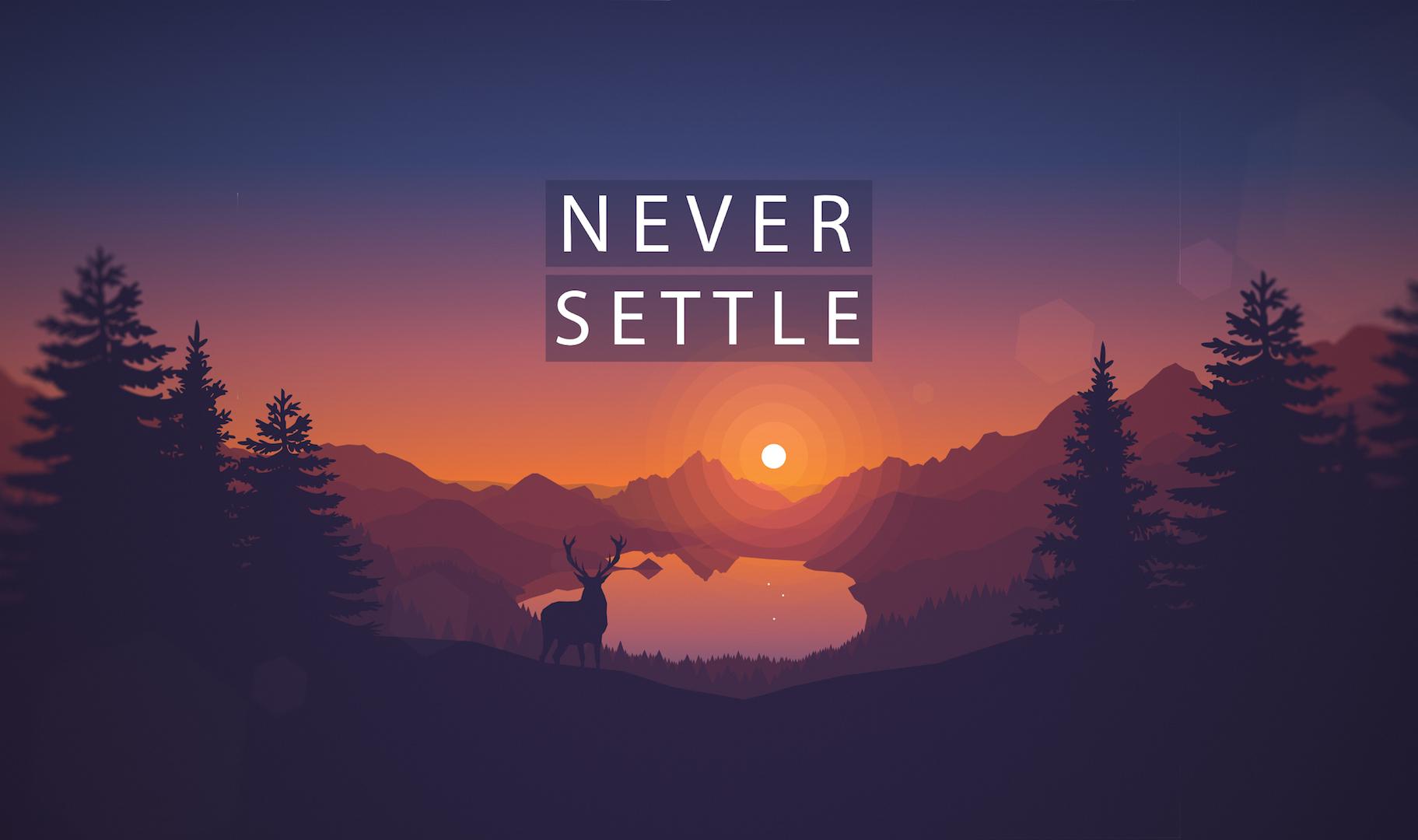 Make The Year You Never Settle