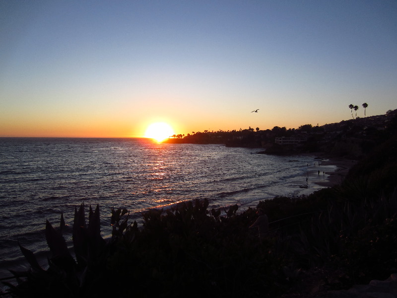 Laguna Beach Wallpaper Sunset High Definition