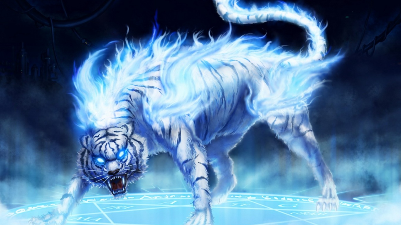  tiger hd wallpapers tiger wallpapers high resolution tiger wallpapers