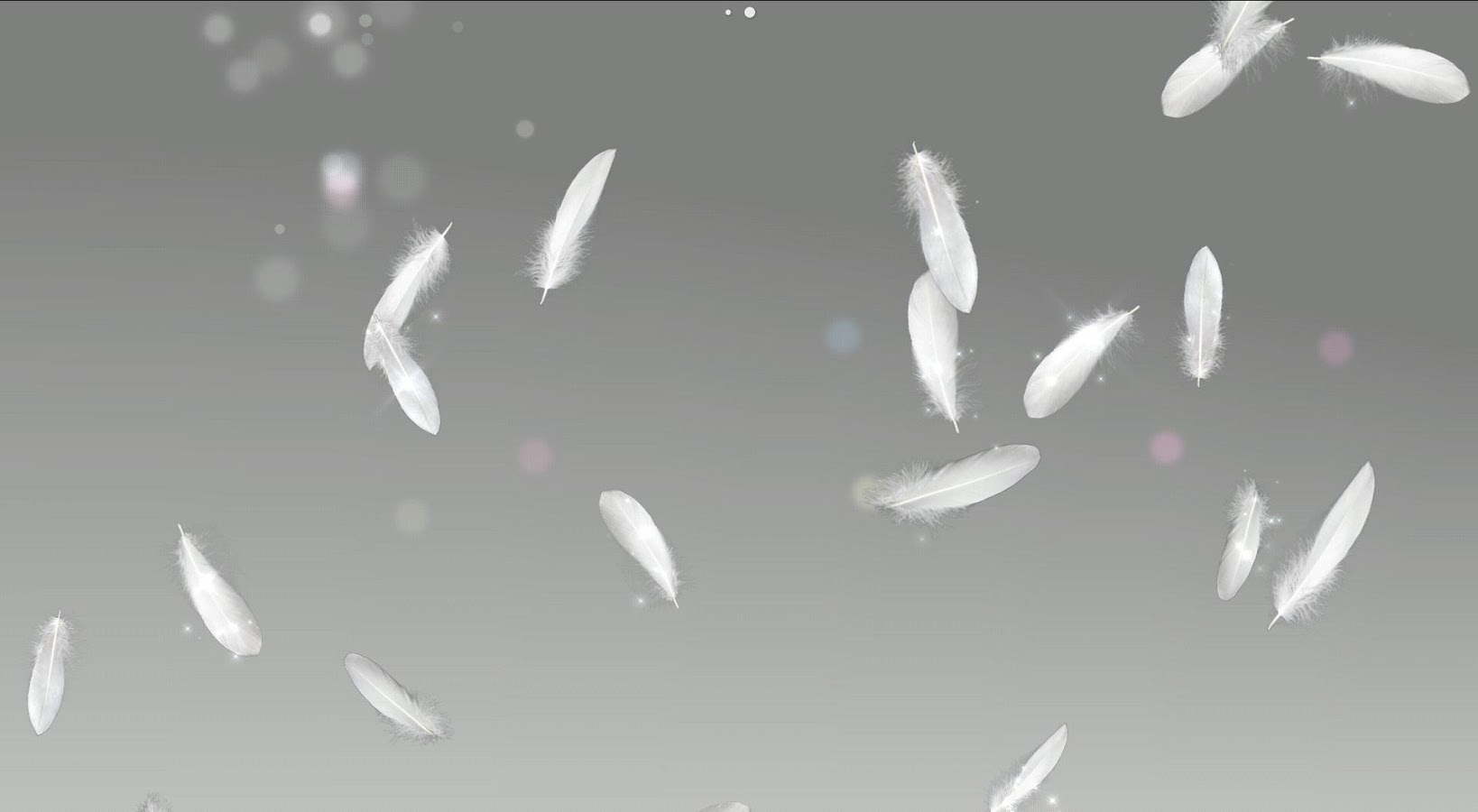 Beautiful Desktop Background Of White Feathers Wallpaper