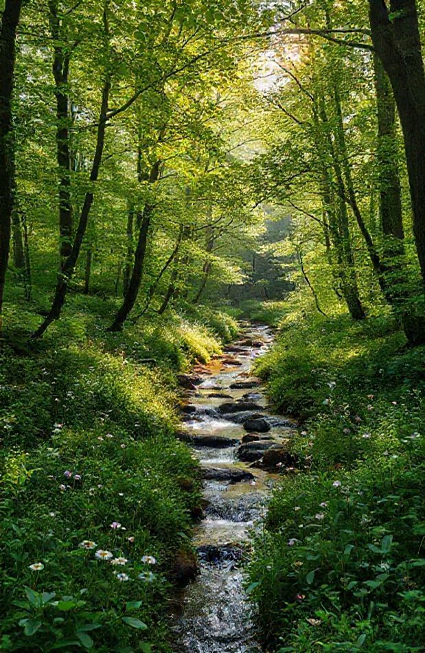 Nature Home Wallpaper