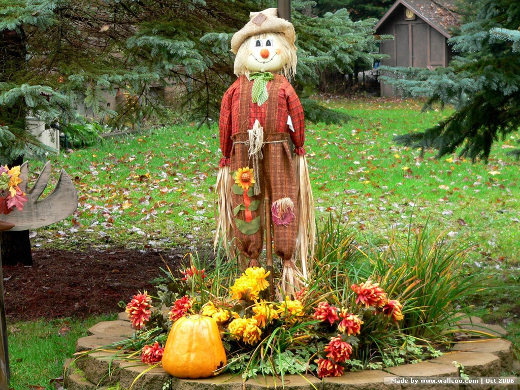 Autumn Display Scarecrow Pumpkins Wallpaper