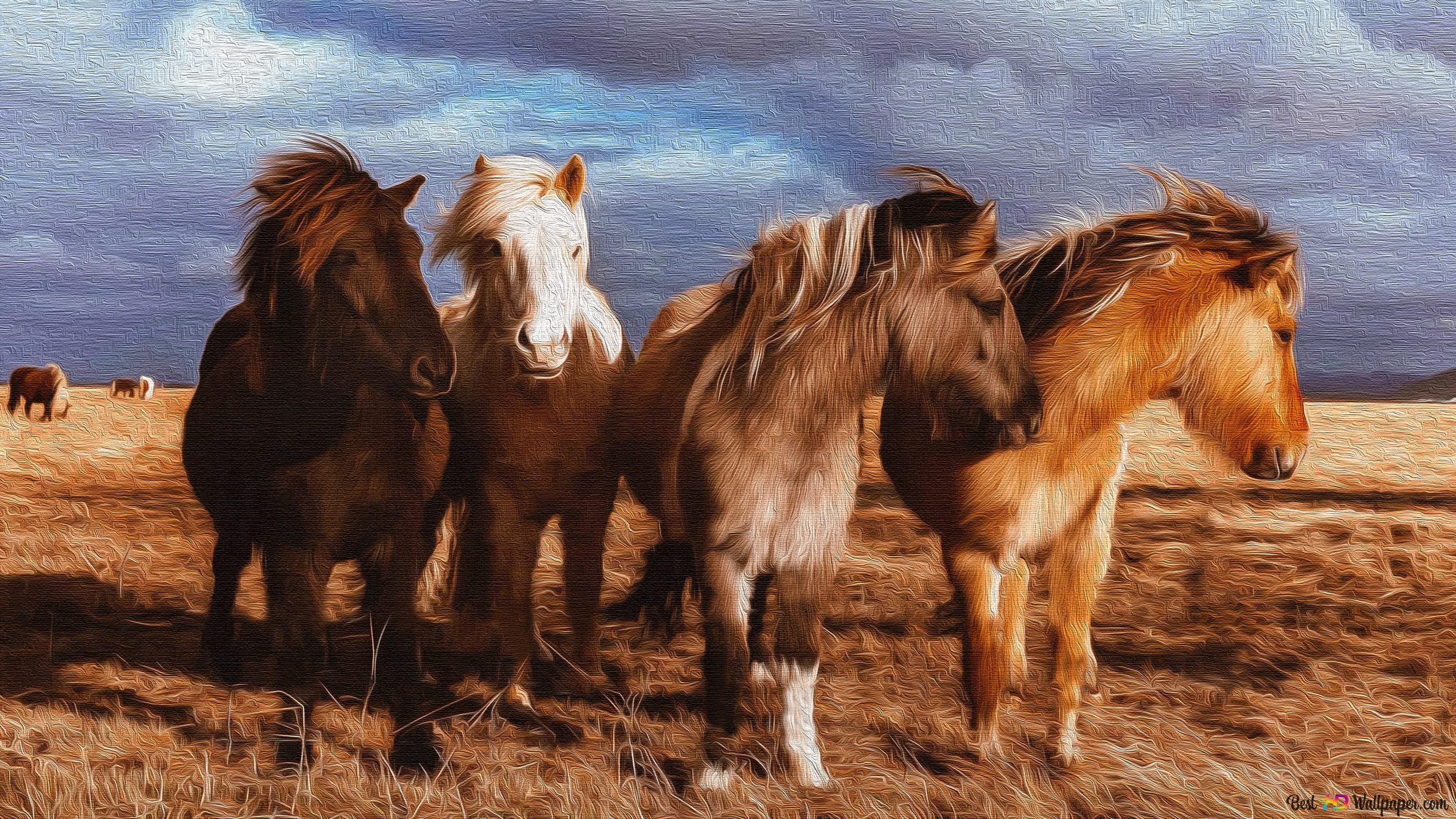 Photography Ponies Wallpaper