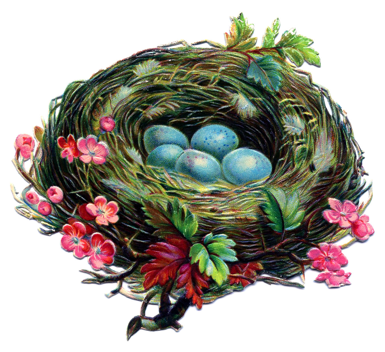 Nest Clipart Image The Graphics Fairy