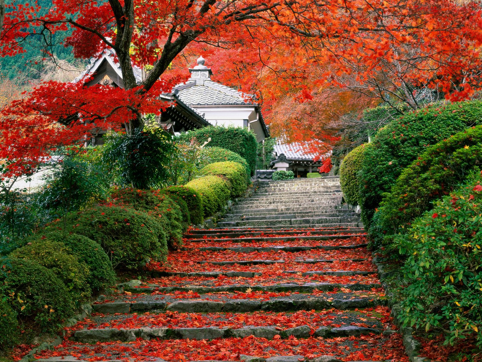 Download Garden Staircase Kyoto Japan Wallpapers Pictures Photos 1600x1200