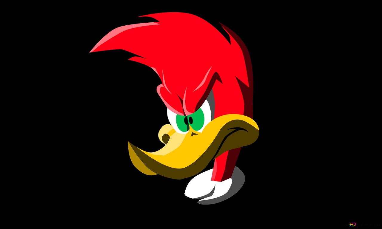 Woody The Woodpecker Portrait In Front Of Black HD Wallpaper