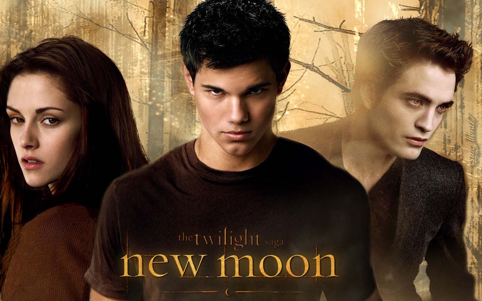 Jacob And Edward New Moon Wallpaper Twilight Series