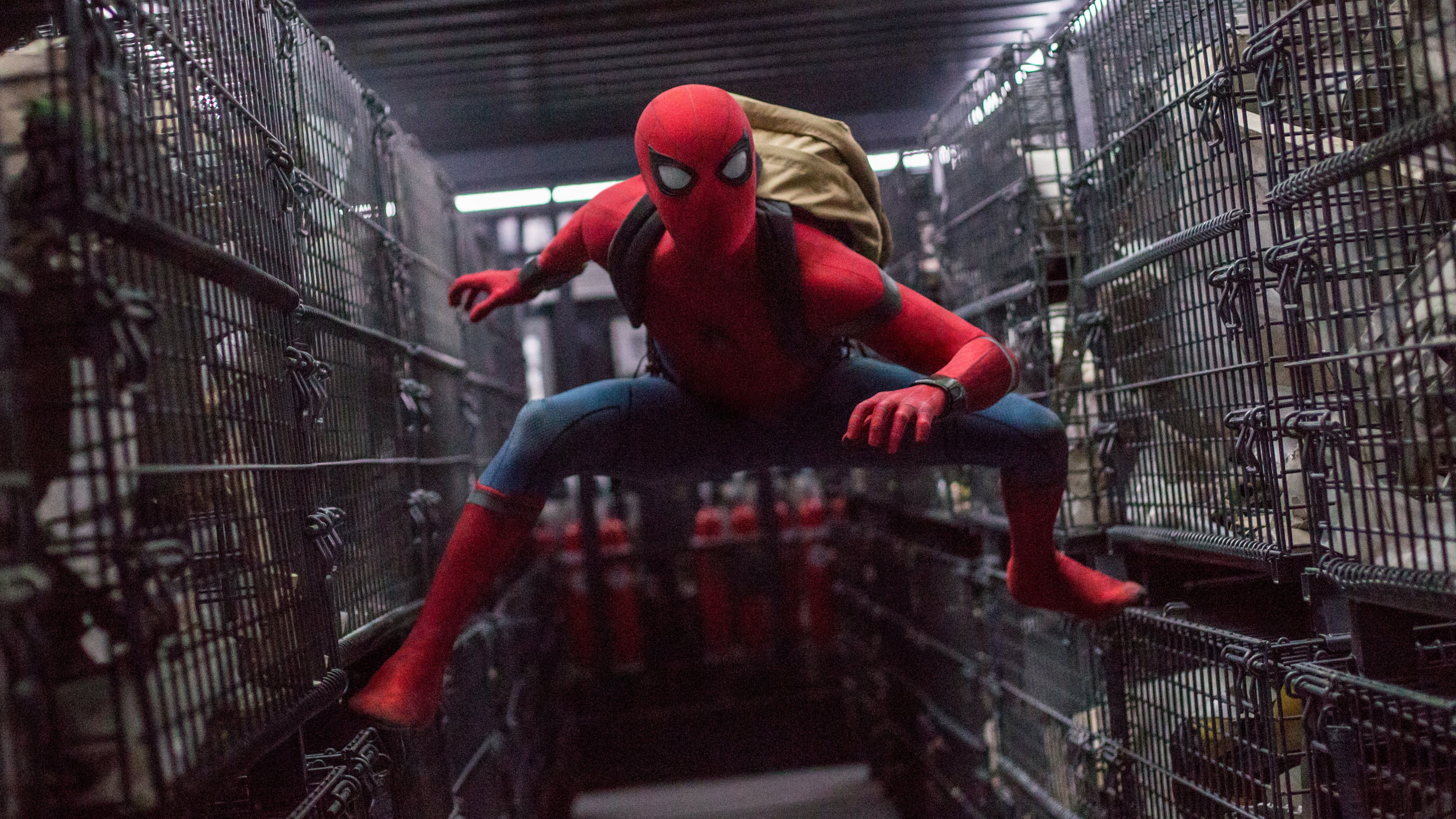 Wallpaper Spider Man Homeing 4k 8k Tom Holland Marvel