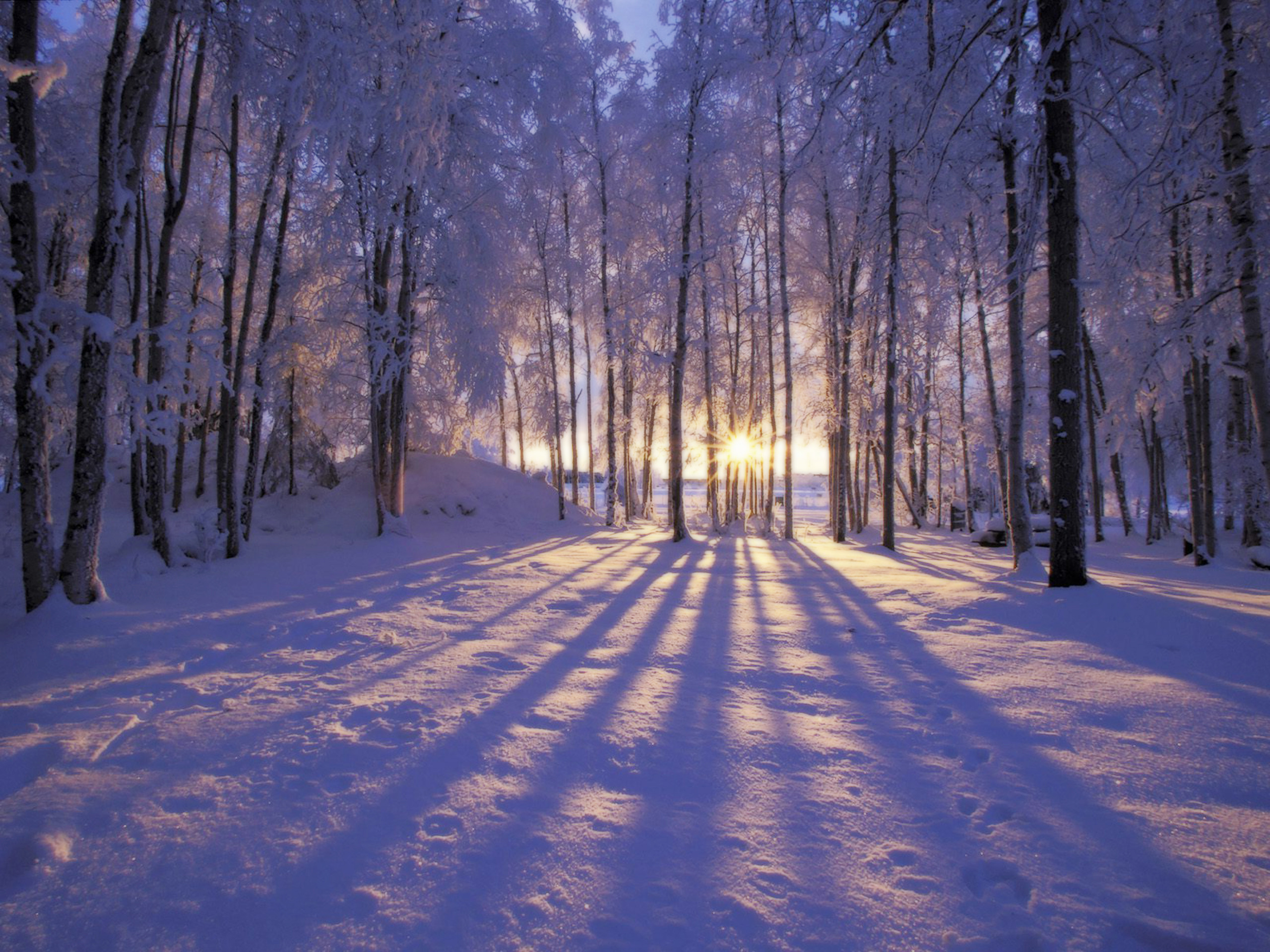 Winter Scenes Wallpaper