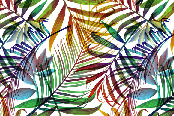 Tropical Colorful Palm Jungle Leaves Patterns On Creative Market