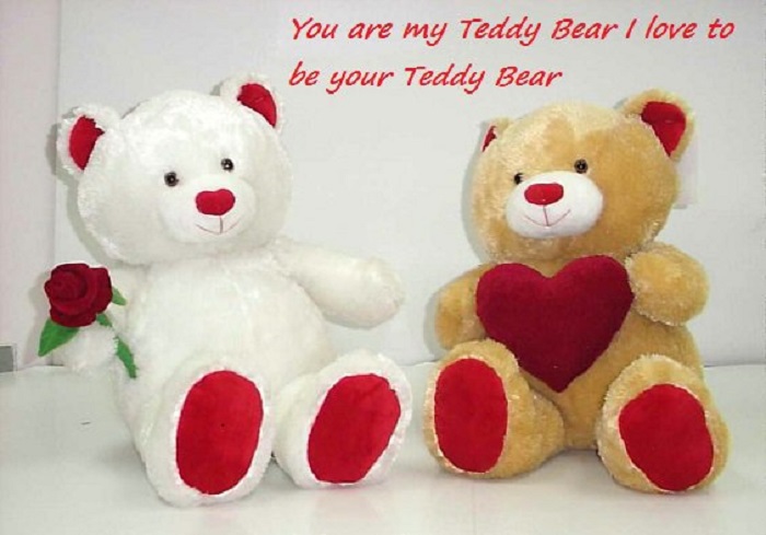 Best Happy Teddy Day Messages Sms Wishes Image