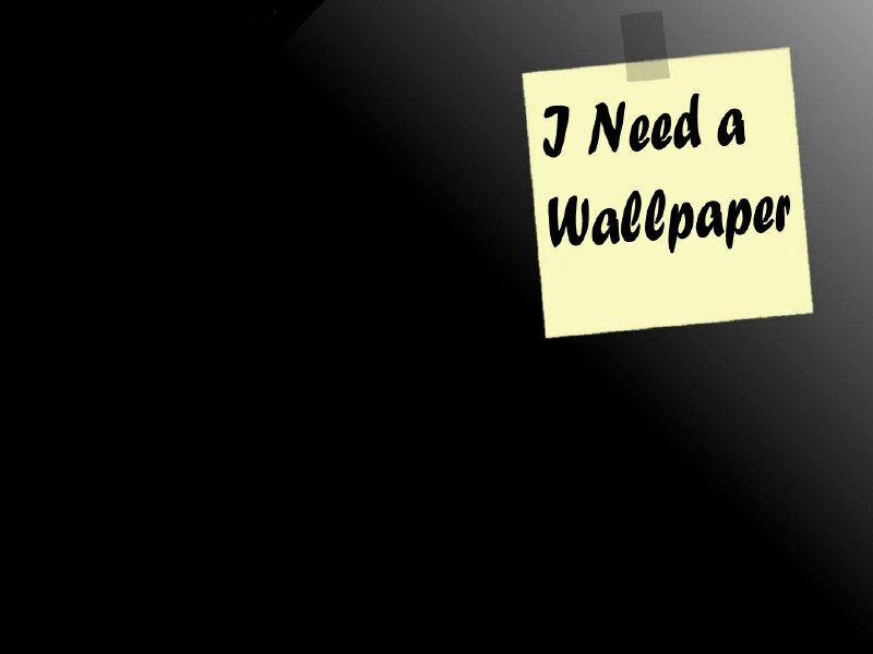 Wallpapers Funny  Wallpaper Cave
