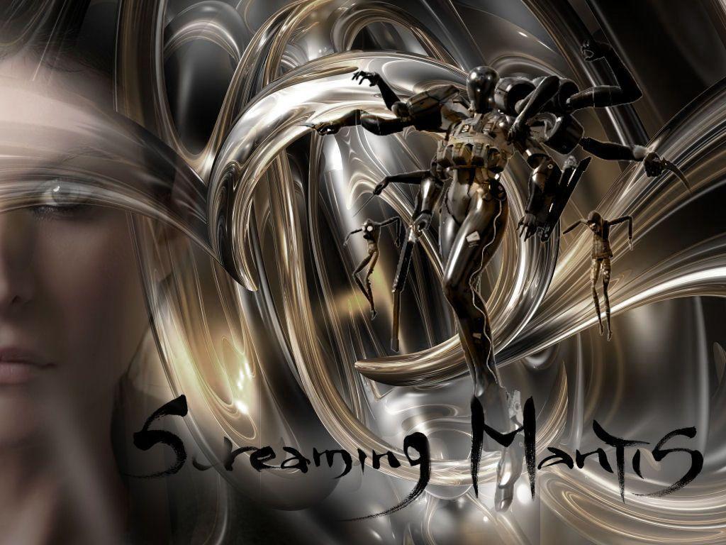 Gallery For Gt Screaming Mantis Wallpaper