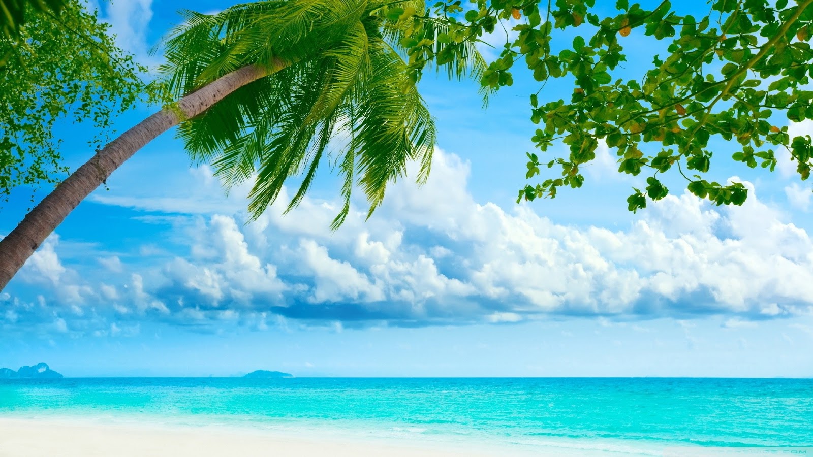 Tropical Beach Most Famous Places