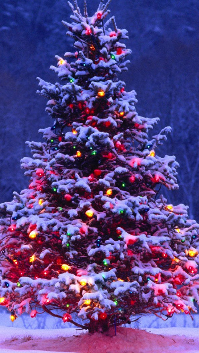 Christmas Tree iPhone 5s Wallpaper iPad