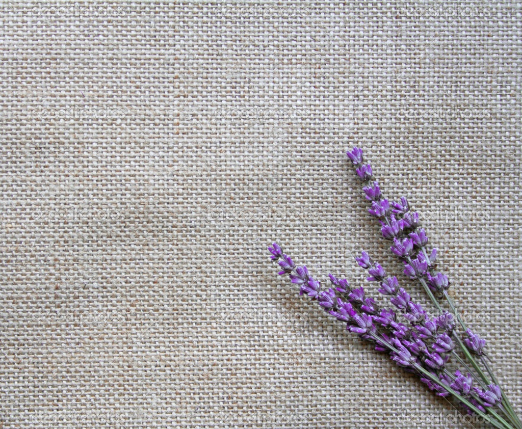 Lavender Flowers Wallpaper HD Topwallpaper
