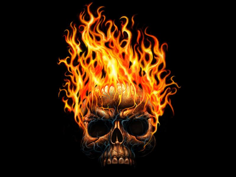 Lovely Skull Wallpaper High Definition X
