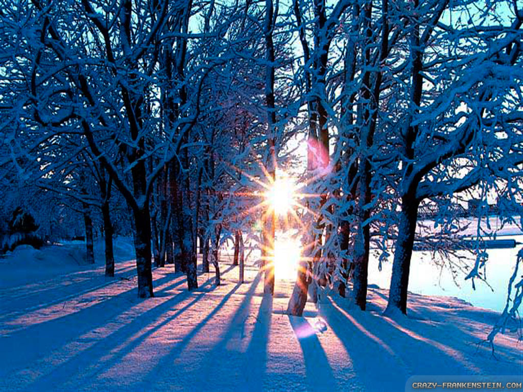 Free download Wallpaper Winter sun wallpapers [1024x768] for your