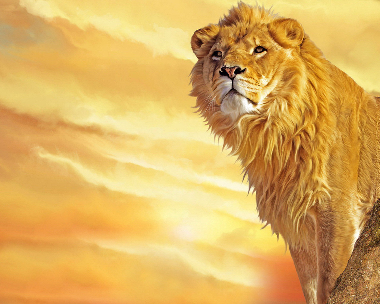 Art Young Lion Mara Lions Growl Wallpaper African
