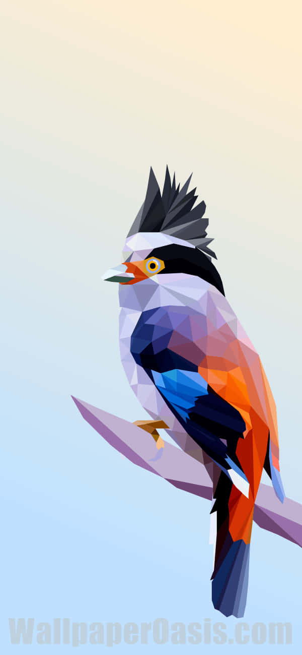Bird iPhone Wallpaper