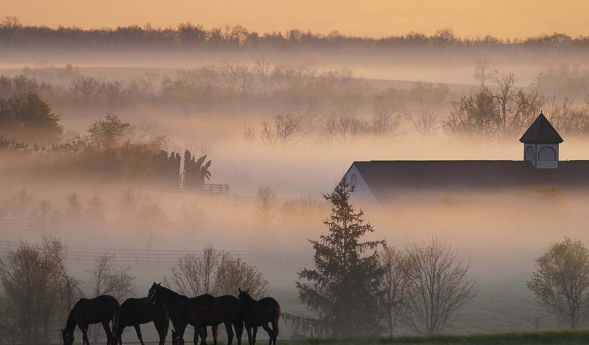 Ranch Ht1gbrjwfov3byp3 Wallpaper