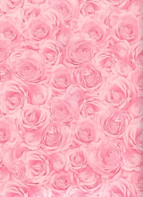 rose background on