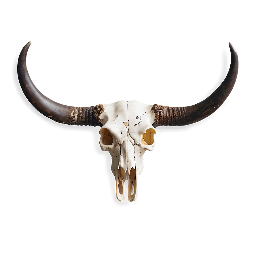 Bull Skull B Wallpaper
