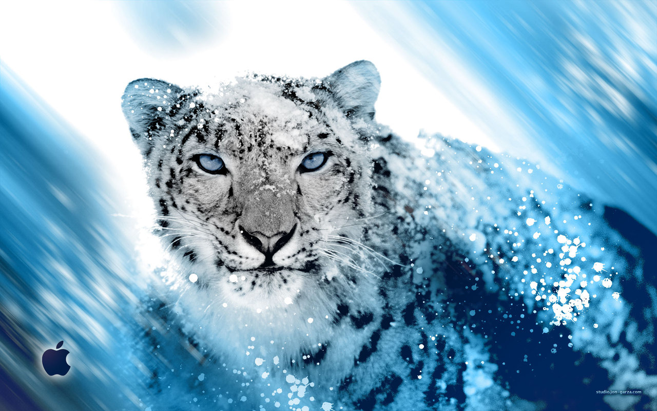 Snow Leopard Inspired By Djog