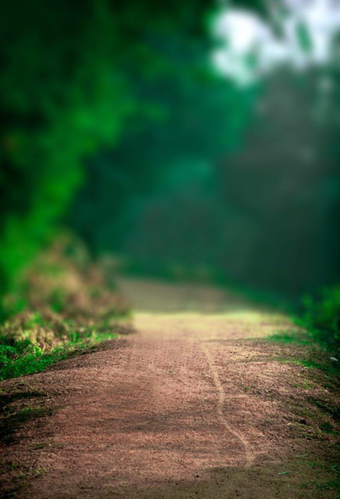 Free download New Natural Backgrounds for Photo Editing Blur photo ...