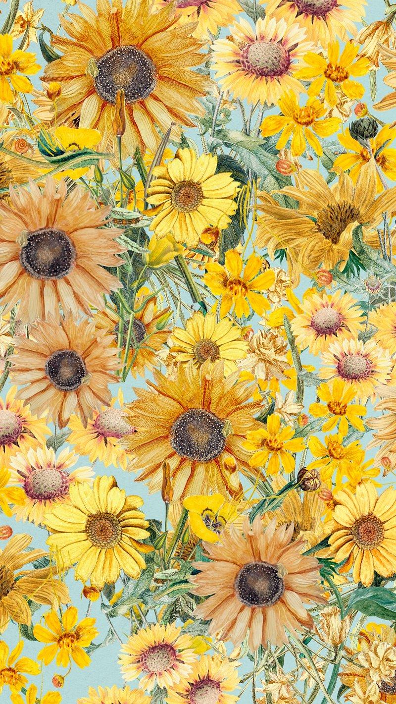 Sunflower Pattern Wallpaper Image Photos Png Stickers