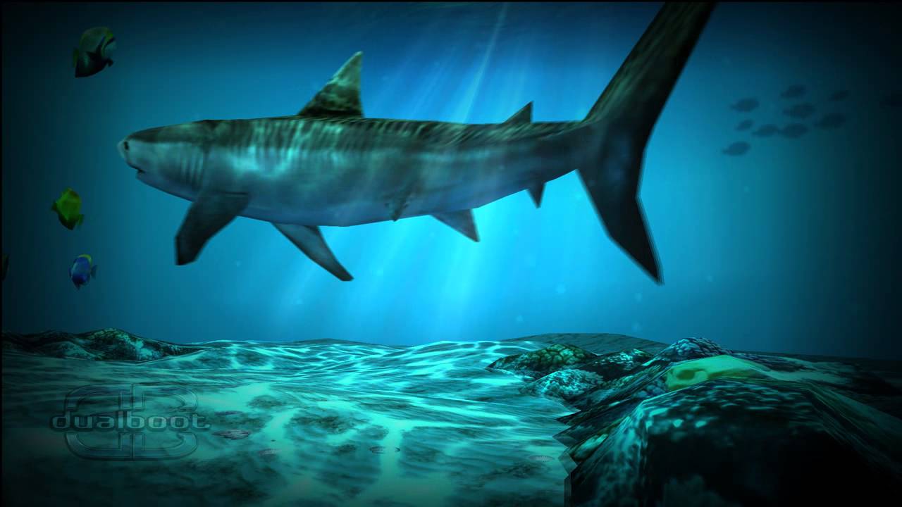 Shark Pack For Ocean HD Live Wallpaper
