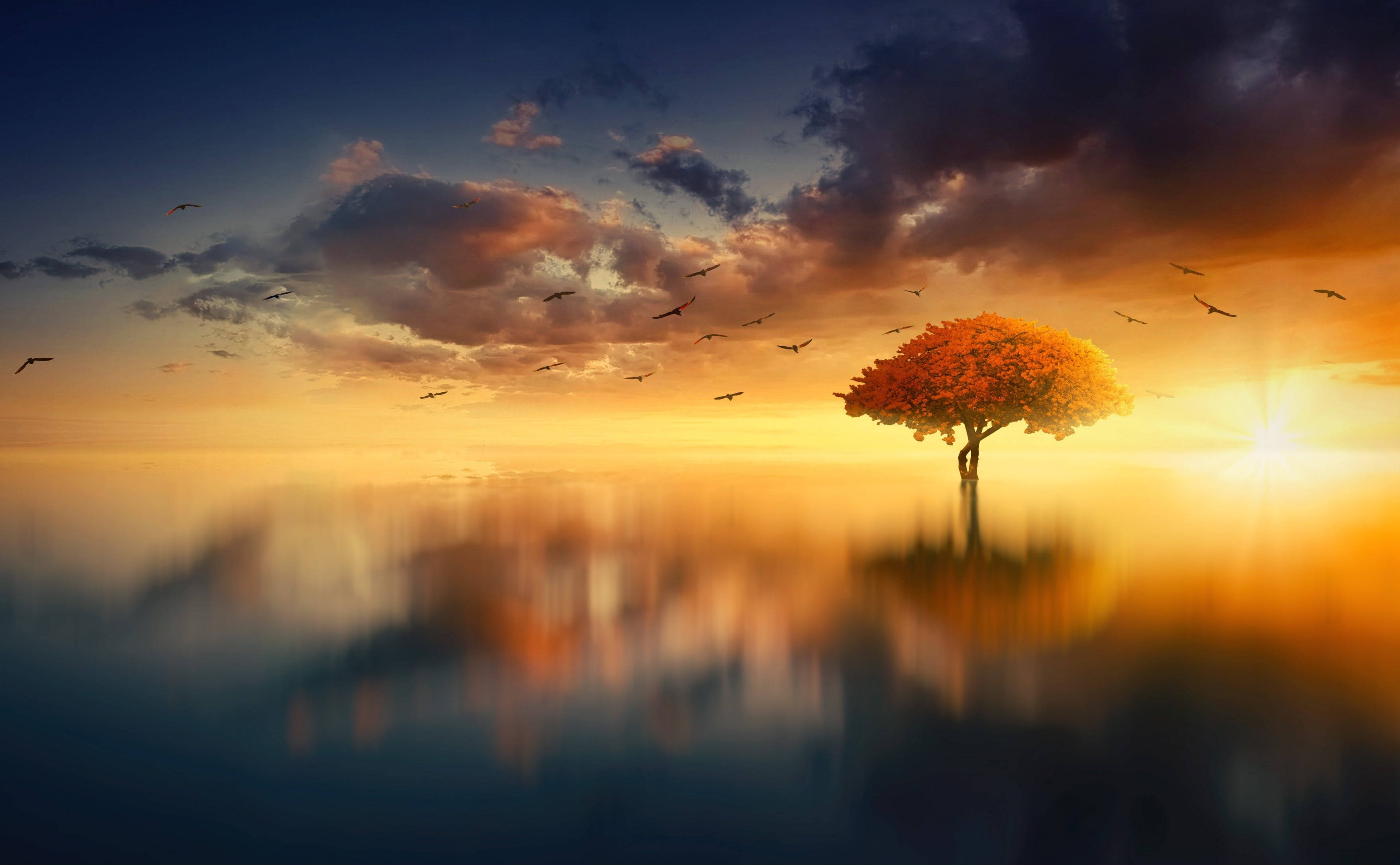 Aesthetic Sunset Wallpaper